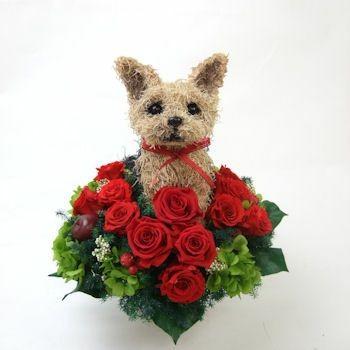 ヨークシャテリアの短毛カットトピアリー プリザーブドフラワー犬