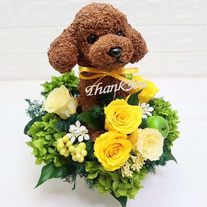 プリザーブドフラワーアレンジ トイプードル thank you ギフト : 動物