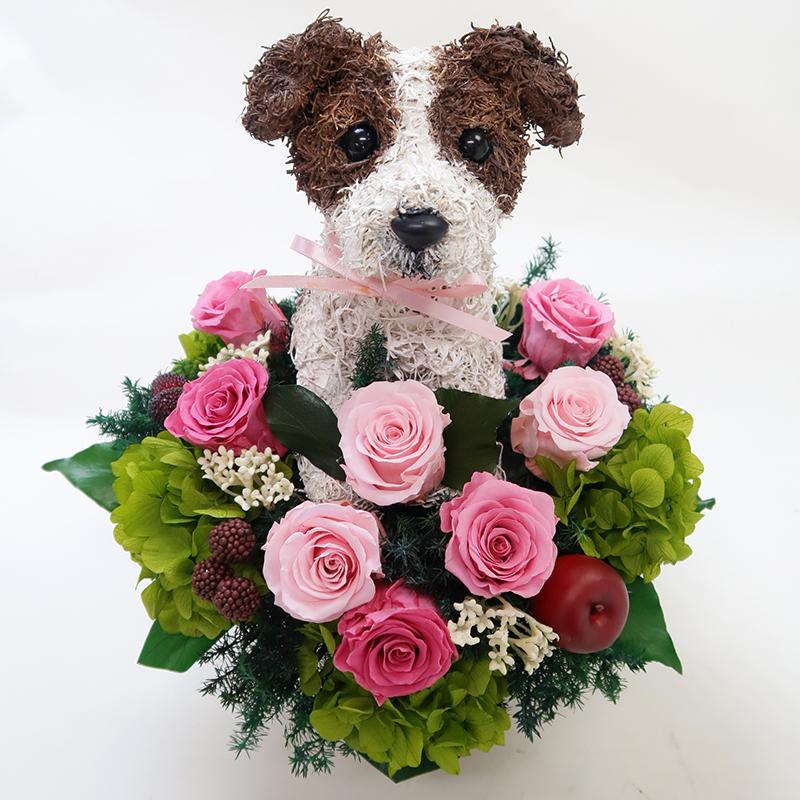 プリザーブドフラワーアレンジ犬 ジャックラッセルテリア （ラフ）cute