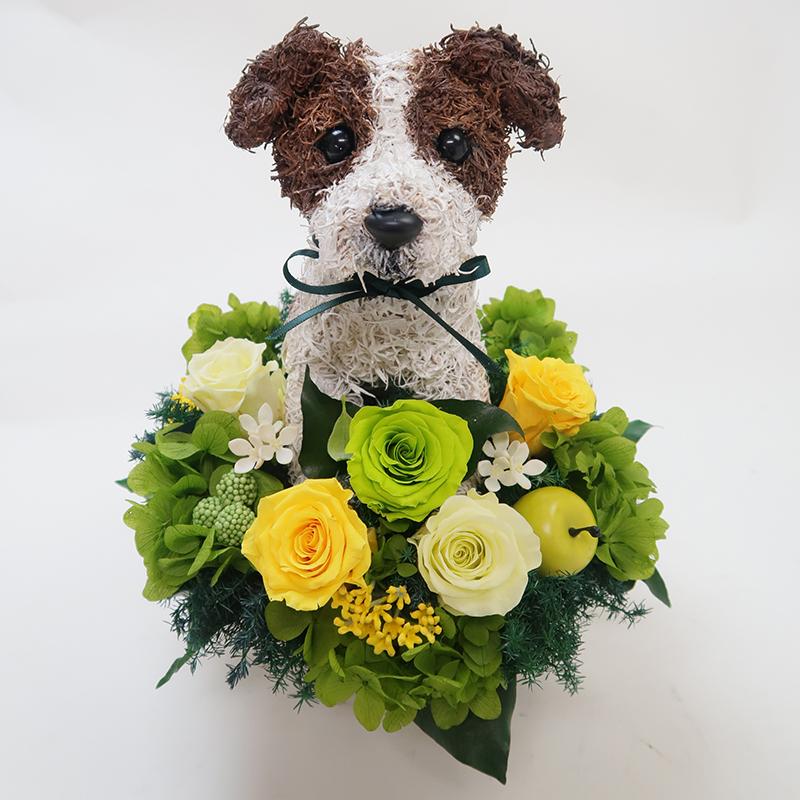 プリザーブドフラワーアレンジ犬 ジャックラッセルテリア （ラフ）Pretty 結婚祝い 誕生日 ギフト プレゼント 開店祝い 動物病院開院祝い ペットのお悔やみ