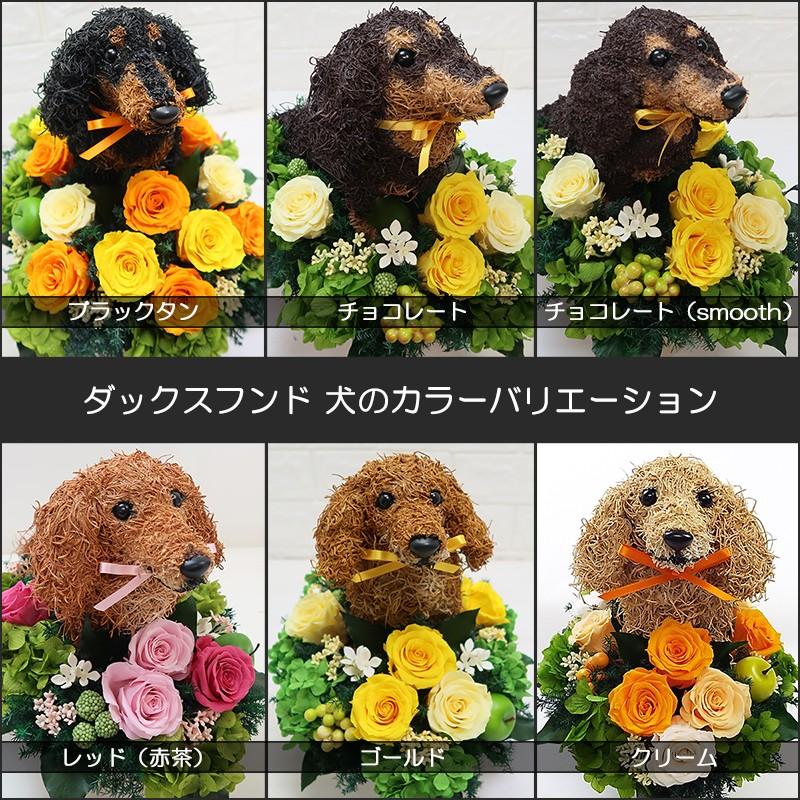 プリザーブドフラワー犬 ダックスロング トピアリーBeauty 結婚祝い