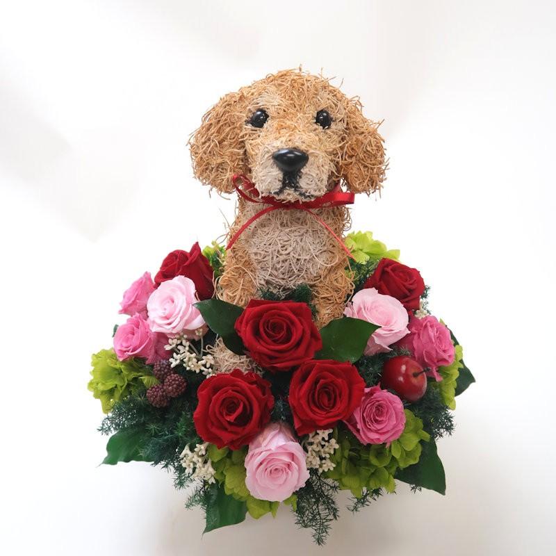 プリザーブドフラワーアレンジ犬 ゴールデンレトリバー Beauty 結婚祝い 誕生日 ギフト プレゼント 開店祝い 動物病院開院祝い ペットのお悔やみ
