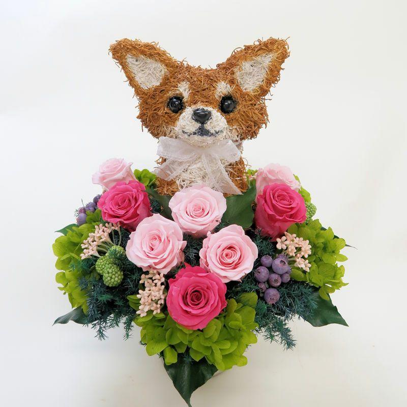 在庫あり 即納 プリザーブドフラワーアレンジ犬 ロングコートチワワ Cute 結婚祝い 誕生日 ギフト プレゼント 開店祝い 動物病院開院祝い ペットのお悔やみ Longcoatchihuahua Cute 動物トピアリー アトリエ花倶楽部 通販 Yahoo ショッピング 値引 Www Maxipiso