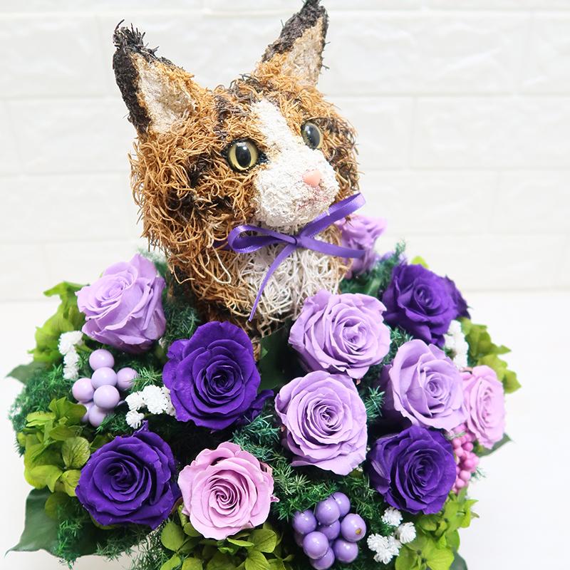 プリザーブドフラワーアレンジ猫 メインクーン Beauty 結婚祝い 誕生日