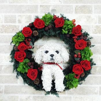 プリザーブドフラワーリース犬 マルチーズ トピアリー ギフト 犬