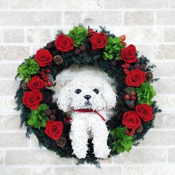 ご注文 トピアリー  リース など プリザーブドフラワー プリザーブドフラワーリース犬 マルチーズ トピアリー ギフト 犬