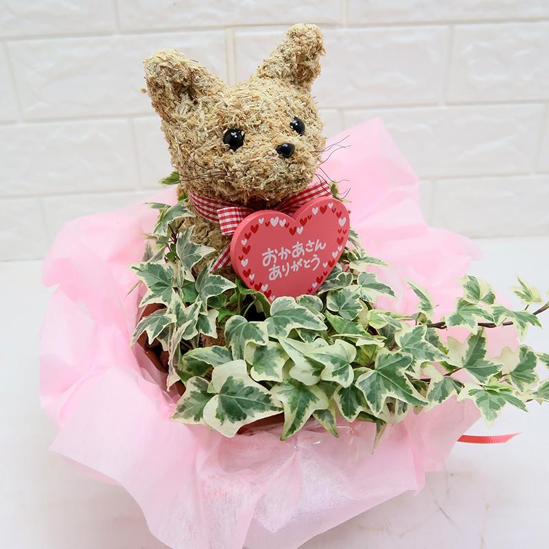 母の日限定 猫のトピアリー鉢植え : 動物トピアリー アトリエ花倶楽部