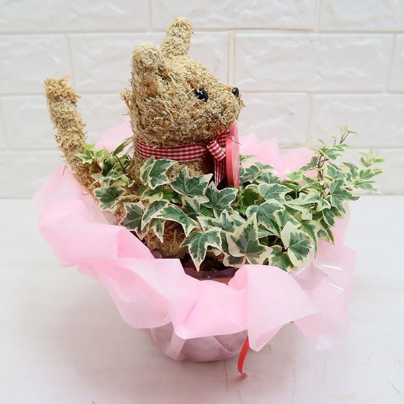 母の日限定 猫のトピアリー鉢植え : 動物トピアリー アトリエ花倶楽部