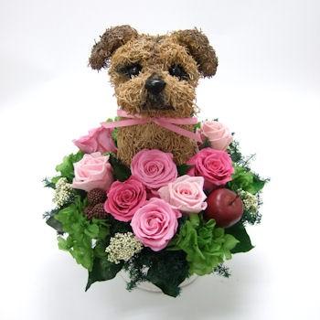 プリザーブドフラワーアレンジ犬 ノーフォークテリア Cute 結婚祝い 誕生日 ギフト プレゼント 開店祝い 動物病院開院祝い ペットのお悔やみ