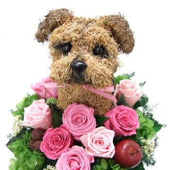 プリザーブドフラワーアレンジ犬 ノーフォークテリア Cute 結婚祝い 誕生日 ギフト プレゼント 開店祝い 動物病院開院祝い ペットのお悔やみ_1