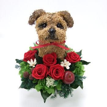 プリザーブドフラワーアレンジ犬 ノーフォークテリア Pretty 結婚祝い 誕生日 ギフト プレゼント 開店祝い 動物病院開院祝い ペットのお悔やみ