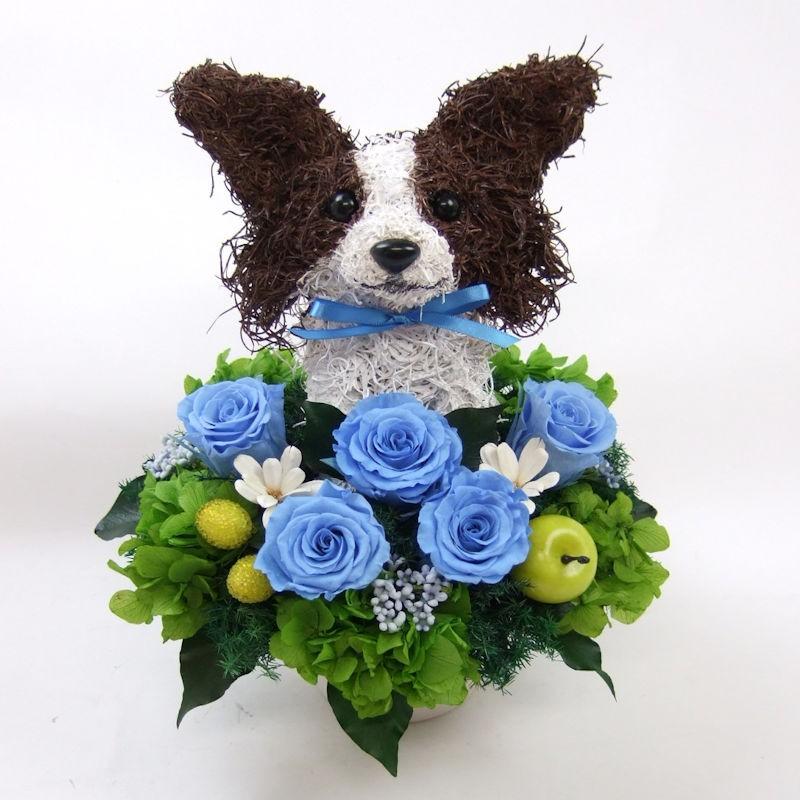 値引 プリザーブドフラワーアレンジ犬 パピヨン Pretty 結婚祝い 誕生日 ギフト プレゼント 開店祝い 動物病院開院祝い ペットのお悔やみ 高い素材 Www Thedailyspud Com