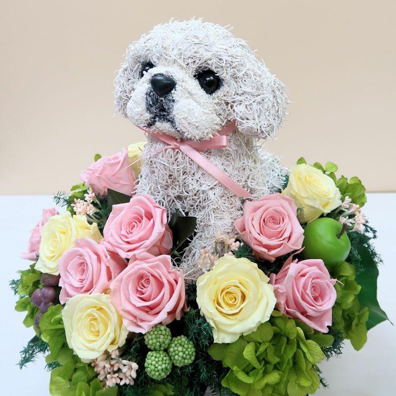 プリザーブドフラワーアレンジ犬 ペキニーズ Beauty 結婚祝い 誕生日