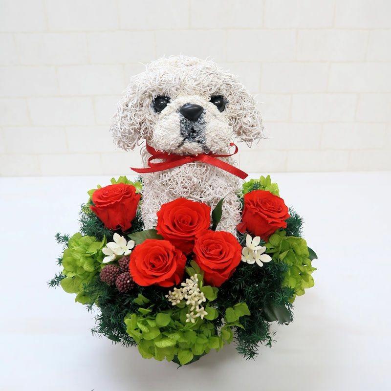 プリザーブドフラワーアレンジ犬 ペキニーズ Pretty 結婚祝い 誕生日 ギフト プレゼント 開店祝い 動物病院開院祝い ペットのお悔やみ