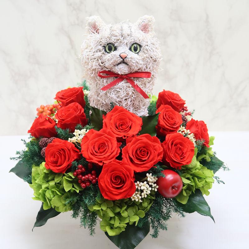 プリザーブドフラワーアレンジ猫 ペルシャ猫チンチラ Beauty 結婚祝い