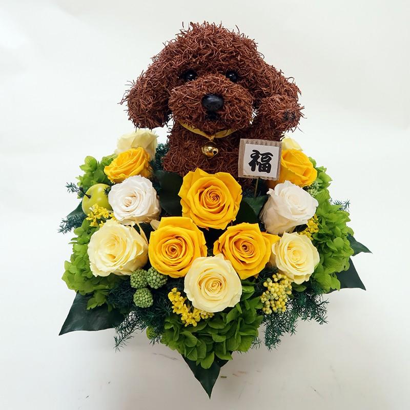 プリザーブドフラワーアレンジ 犬トイプードルの招き犬 : 動物