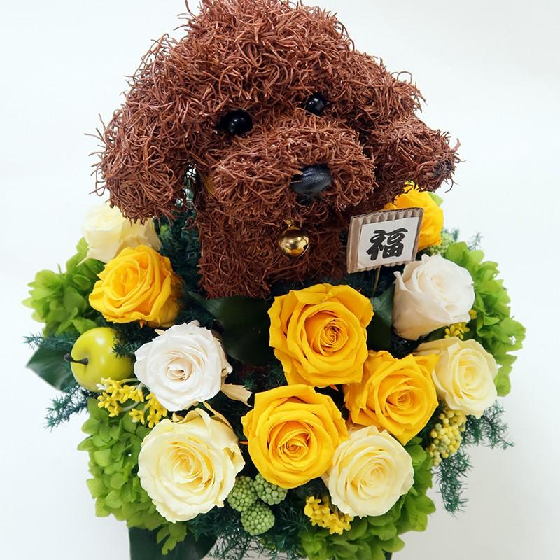 プリザーブドフラワーアレンジ 犬トイプードルの招き犬 : 動物