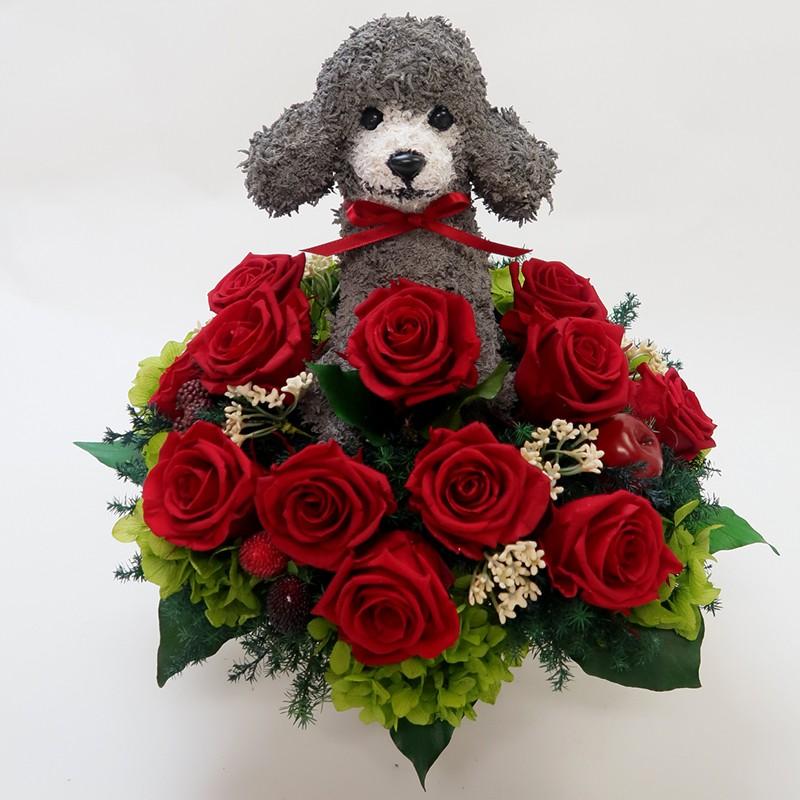 プリザーブドフラワー犬 プードルカットプードル Beauty 結婚 プリザーブドフラワー犬 プードルカットプードル Beauty 結婚