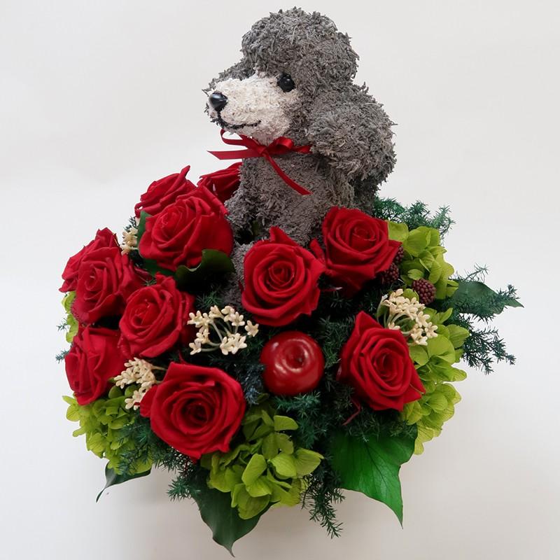 プリザーブドフラワー犬 プードルカットプードル Beauty 結婚祝い 誕生