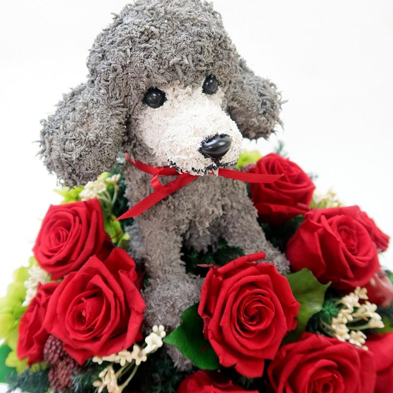 プリザーブドフラワー犬 プードルカットプードル Beauty 結婚祝い 誕生