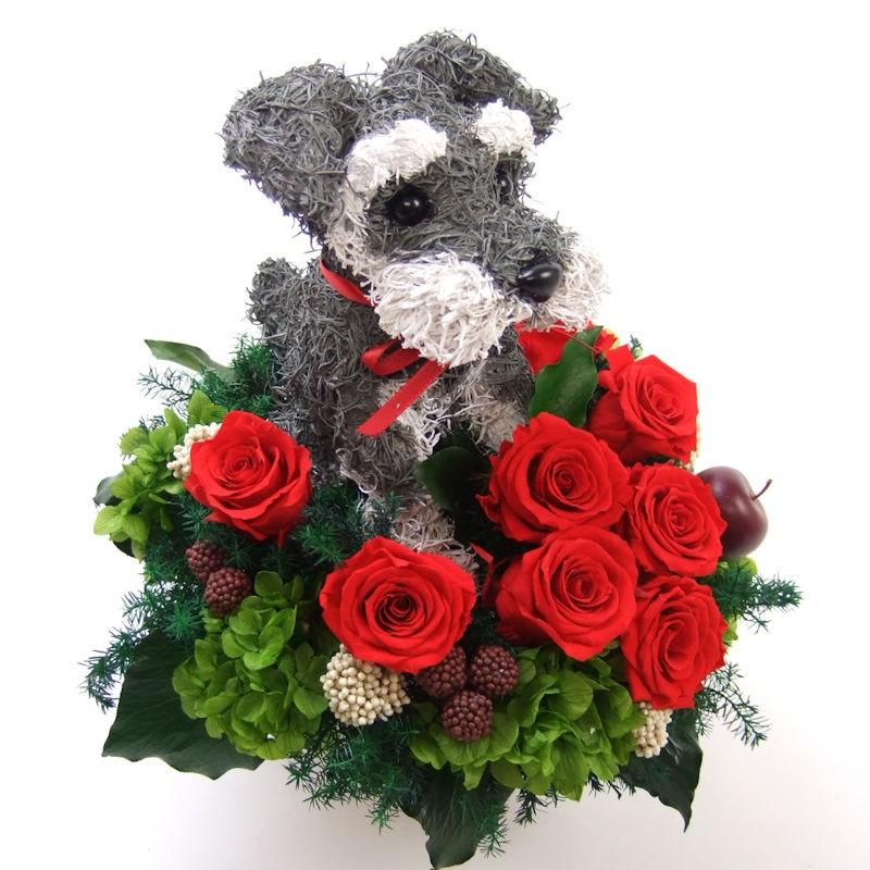 プリザーブドフラワーアレンジ犬 シュナウザー Cute 結婚祝い 誕生日 ギフト プレゼント 開店祝い 動物病院開院祝い ペットのお悔やみ 結婚祝い 動物病院開院祝い ギフト 開店祝い ペットのお悔やみ
