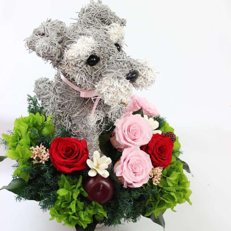 プリザーブドフラワーアレンジ犬 シュナウザー Pretty 結婚祝い 誕生日 ギフト プレゼント 開店祝い 動物病院開院祝い ペットのお悔やみ 開店祝い 結婚祝い ギフト 動物病院開院祝い 誕生日プレゼント