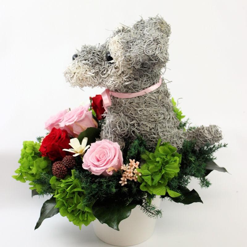 プリザーブドフラワーアレンジ犬 シュナウザー Pretty 結婚祝い 誕生日 ギフト プレゼント 開店祝い 動物病院開院祝い ペットのお悔やみ 開店祝い 結婚祝い ギフト 動物病院開院祝い 誕生日プレゼント