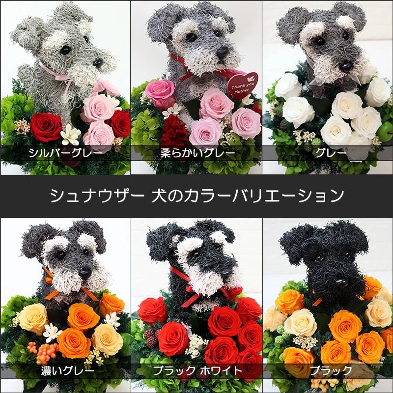 プリザーブドフラワーアレンジ犬 シュナウザー Pretty 結婚祝い 誕生日 ギフト プレゼント 開店祝い 動物病院開院祝い ペットのお悔やみ 開店祝い 結婚祝い ギフト 動物病院開院祝い 誕生日プレゼント