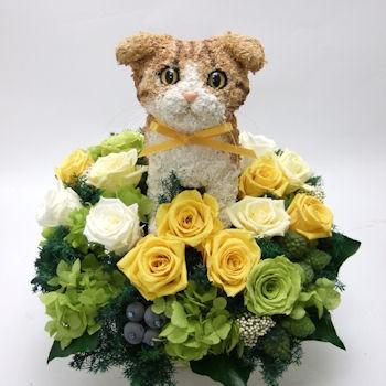プリザーブドフラワーアレンジ猫 スコティッシュフォールド Beauty 結婚祝い 誕生日 ギフト プレゼント 開店祝い 動物病院開院祝い