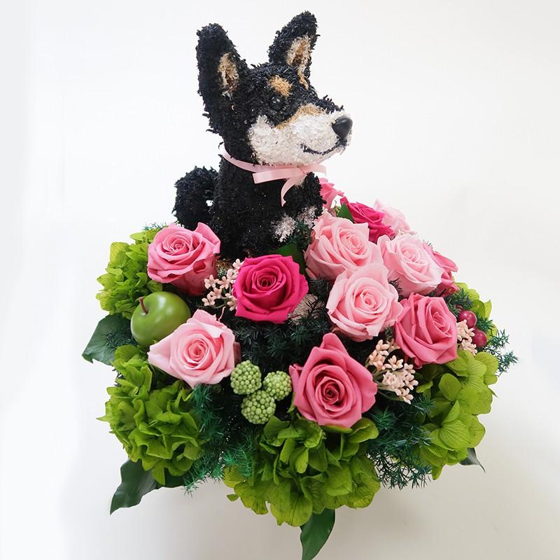 プリザーブドフラワーアレンジ犬 黒柴犬 Beauty 結婚祝い 誕生日