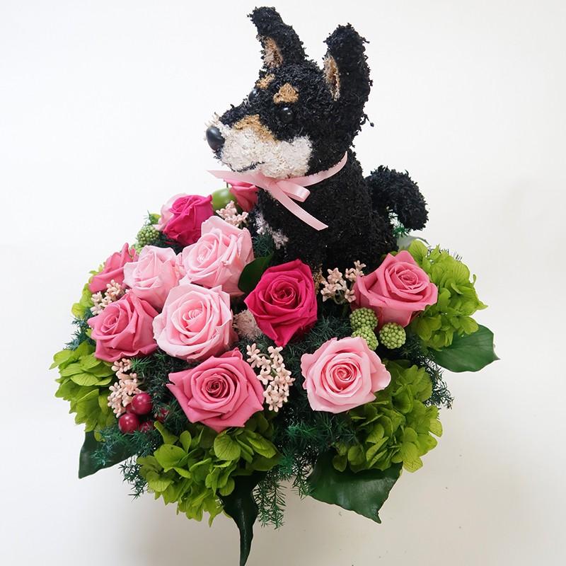 プリザーブドフラワーアレンジ犬 黒柴犬 Beauty 結婚祝い 誕生日