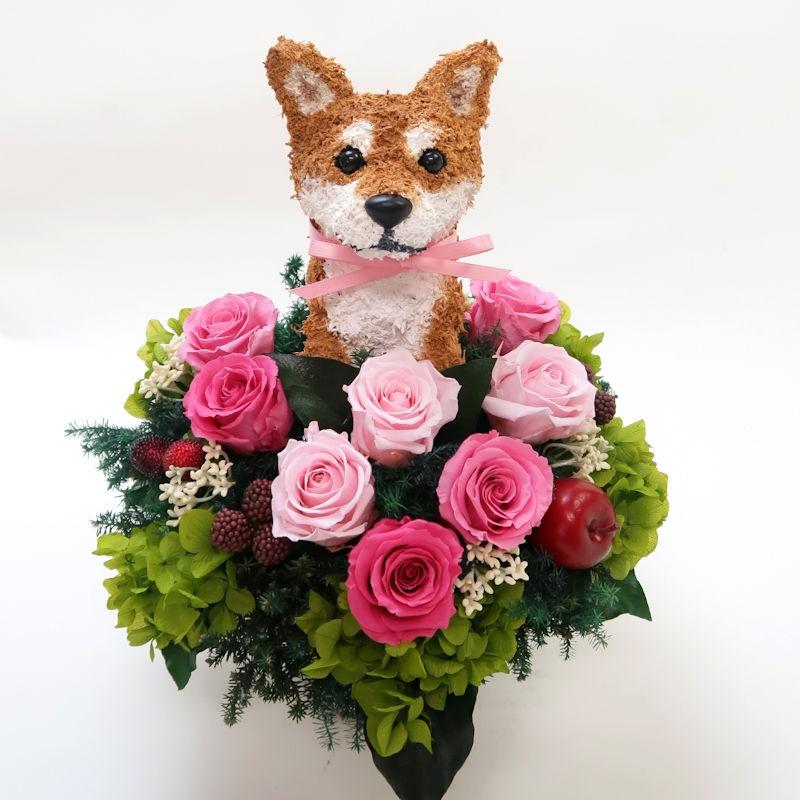 プリザーブドフラワーアレンジ犬 柴犬 Cute 結婚祝い 誕生日 ギフト プレゼント 開店祝い 動物病院開院祝い ペットのお悔やみ