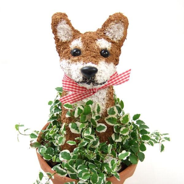 柴犬 水苔トピアリー 鉢植え 結婚祝い 誕生日 ギフト プレゼント 開店