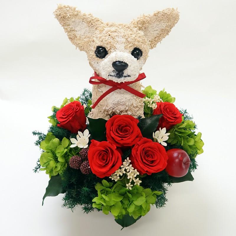 プリザーブドフラワーアレンジ犬 スムースコートチワワ Pretty 結婚祝い 誕生日 ギフト プレゼント 開店祝い 動物病院開院祝い ペットのお悔やみ