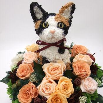 プリザーブドフラワーアレンジ猫 三毛猫 Beauty 結婚祝い 誕生日