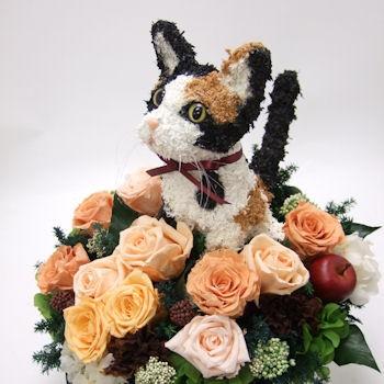 プリザーブドフラワーアレンジ猫 三毛猫 Beauty 結婚祝い 誕生日