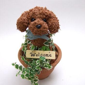 トイプードル テディベアタイプ 水苔動物トピアリー 結婚祝い 誕生日 ギフト プレゼント 開店祝い 動物病院開院祝い ペットのお悔やみ