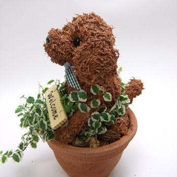 トイプードル テディベアタイプ 水苔動物トピアリー 結婚祝い 誕生日 ギフト プレゼント 開店祝い 動物病院開院祝い ペットのお悔やみ 生花