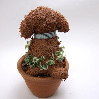 トイプードル テディベアタイプ 水苔動物トピアリー 結婚祝い 誕生日 ギフト プレゼント 開店祝い 動物病院開院祝い ペットのお悔やみ 生花