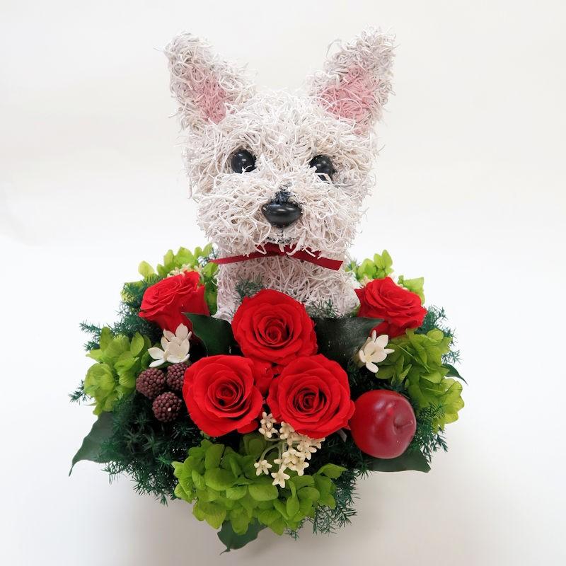 Rakuten プリザーブドフラワー犬アレンジ ウェスト ハイランド ホワイトテリア Pretty 結婚祝い 誕生日 ギフト プレゼント 動物 病院開院祝い 期間限定送料無料 Tv Creativetalentnetwork Com