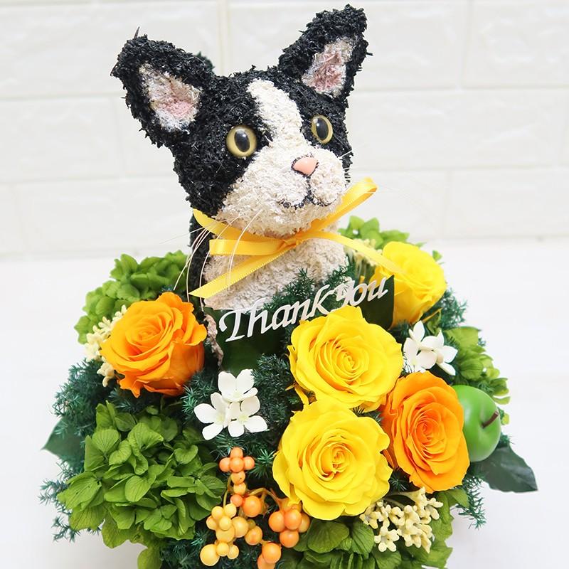 プリザーブドフラワーアレンジ 白黒猫 thank you ギフト : 動物