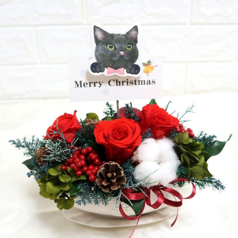 上質で快適 数量限定 期間限定 メッセージ猫ちゃん プリザーブドフラワーアレンジ 新品 Www Sei Ba Gov Br