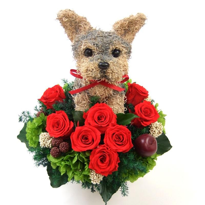 ヨークシャテリアの短毛グレー プリザーブドフラワーアレンジ犬 Cute