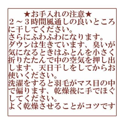 【クーポンで15%OFF】 　羽毛肌掛け布団 ダウンケット シングル ダウン 85％ 洗える 衿裏 肌面 ガーゼ 夏用 羽毛布団 0.25kg ポイント利用_7