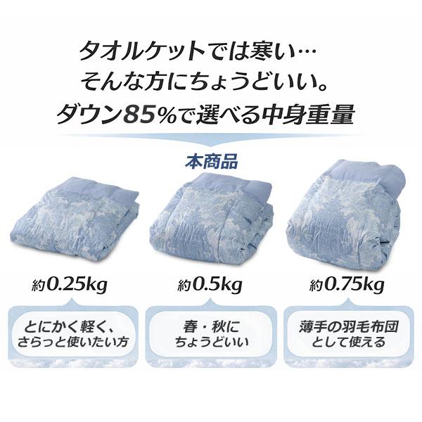 伊藤清商店 羽毛肌掛け布団 ダウンケット シングル ダウン 85％ 洗える