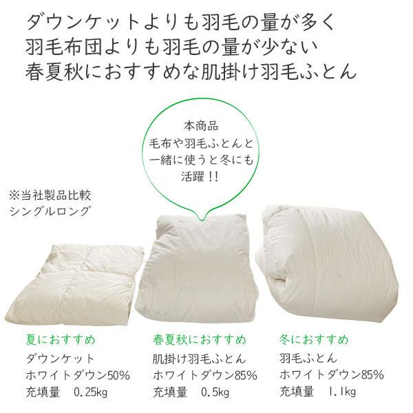 伊藤清商店 羽毛布団 掛け布団 ダウンケット 肌掛け布団 セミダブル