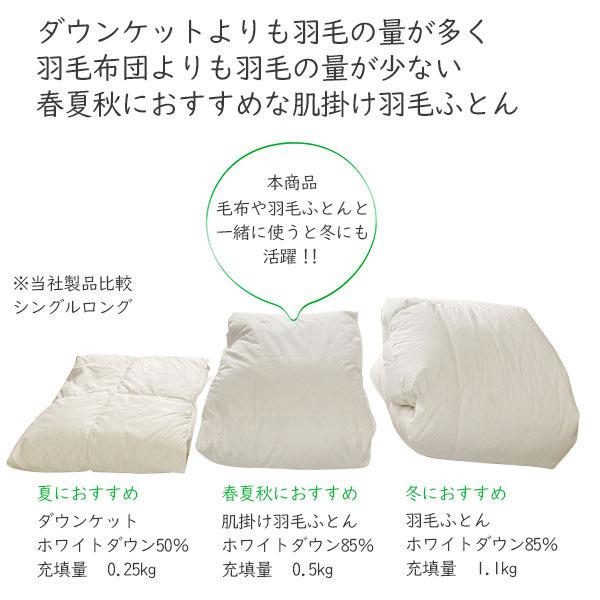 伊藤清商店 羽毛布団 掛け布団 ダウンケット 肌掛け布団 クイーン