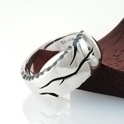 リング　指輪　シルバー　「誕生」 七芒星 デザイン シルバー925 リング 指輪 [誕生石]cooldust