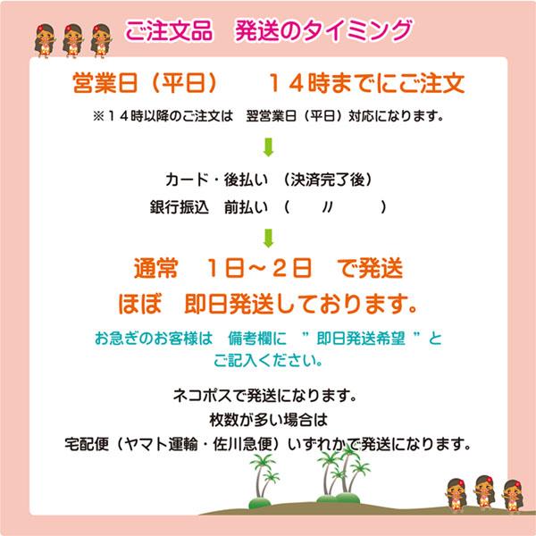 ロングエプロン シフォン 小花柄 ストライプ柄 ドット柄