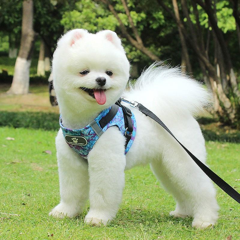 犬ハーネスリードセット おしゃれ お散歩グッズ ワンちゃん用 胴輪 ペットグッズ 小型犬用 中型犬用 可愛い P016 Atou Dsplay 通販 Yahoo ショッピング